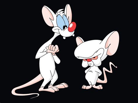 pinky and the brain gif|pinky and the brain clip art.